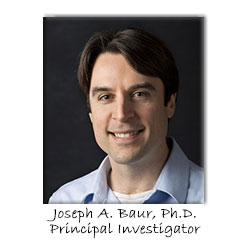 Joseph A. Baur, Ph.D.