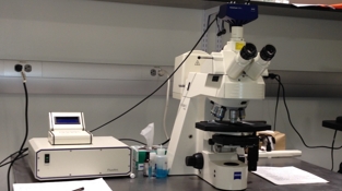 Zeiss Axioplan Widefield Microscope