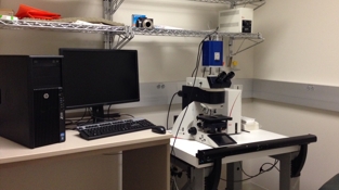 Leica DM6000 Widefield Microscope