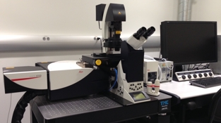 Leica SP8 STED super-resolution microscope