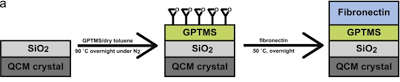 Description: QCM-D chemical synthesis