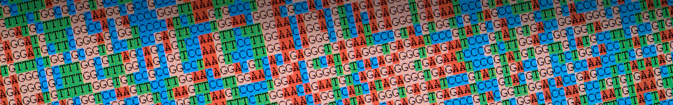Genetic Sequencing Computing
