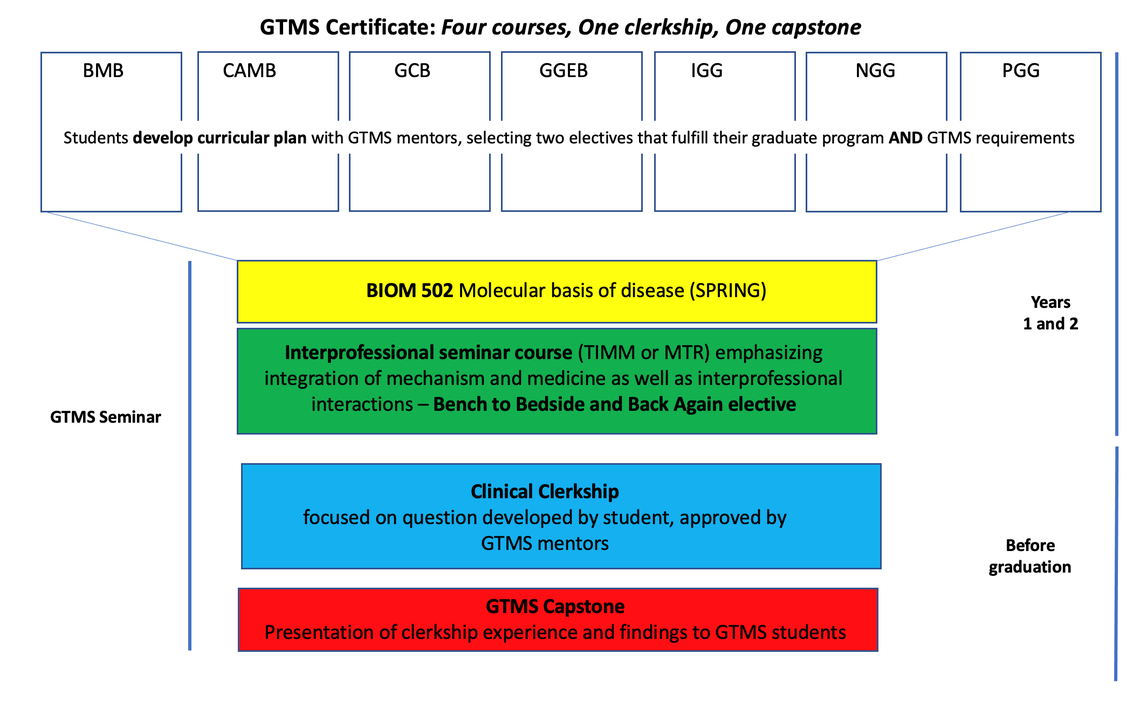 "4 Courses, 1 Clerkship, 1 Capstone." This chart shows a timeline of requirements needed to complete the clerkship, including the courses BIOM 502 and a TIMM or MTR Bench to Bedside and Back Again elective in Years 1 and 2, and a clinical clerkship and GTMS capstone presentation before graduation.