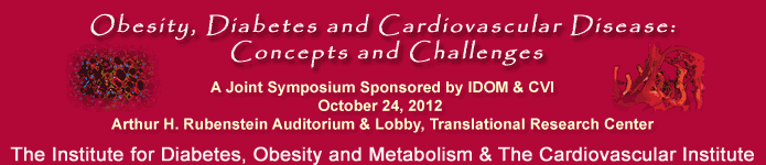 IDOM-CVI Symposium Banner