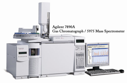 5975 Mass Spectrometer (GC/MS)