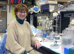 Heather W. Collins, PhD