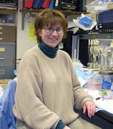 Heather W. Collins, PhD