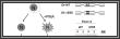 Lynch Lab: Protocols