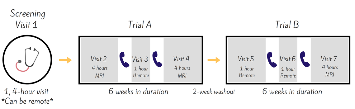 Screening, Visit 1: Can be remote, 4 hours; Trial A, six weeks duration, Visit 2: MRI 4 hours, Visit 3: Remote 1 hour, Visit 4: MRI 4 hours; 2-week washout; Trial B, 6 weeks duration, Visit 5: Remote 1 hour, Visit 6: Remote 1 hour, Visit 7: MRI 4 hours