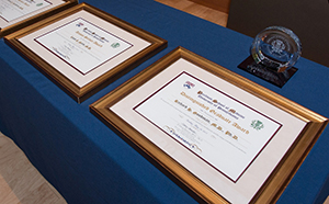 Distinguished Graduate Awards