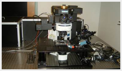 Multi-Photon Microscope