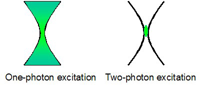 Fluorescence Emission