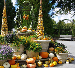 Longwood Gardens display