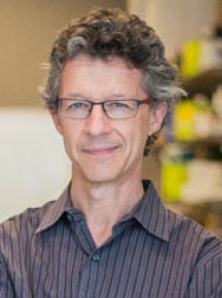 Zoltan Pierre Arany, MD, PhD