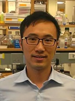 Kelvin Luk, Ph.D. (Penn)