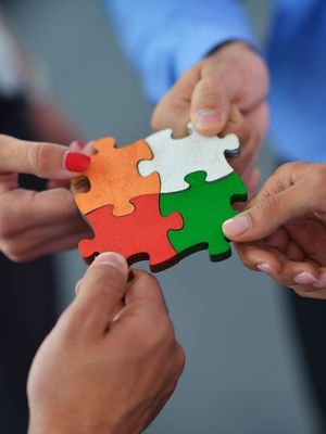 hands holding puzzle pieces representing teamwork