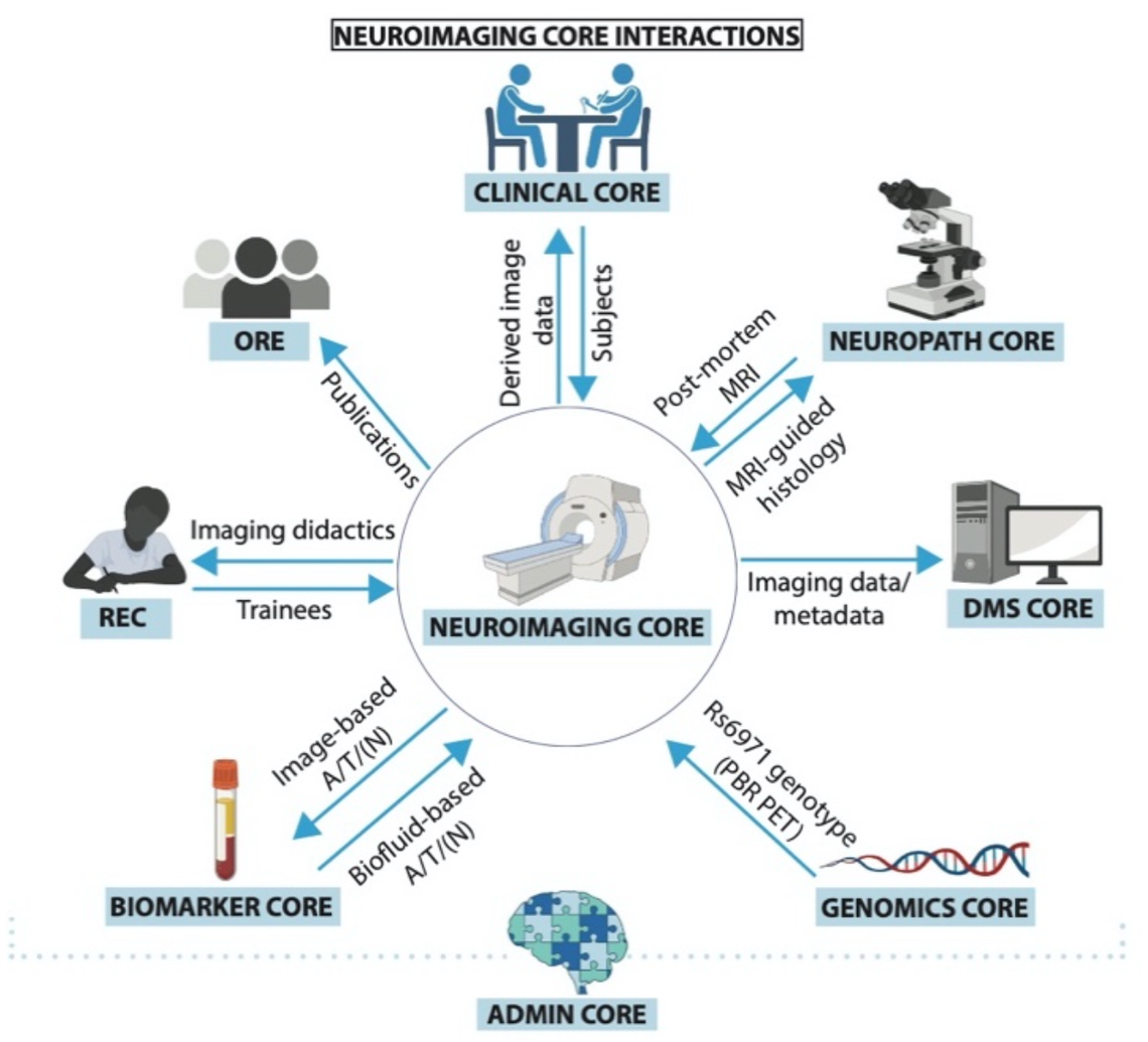 neuroimage