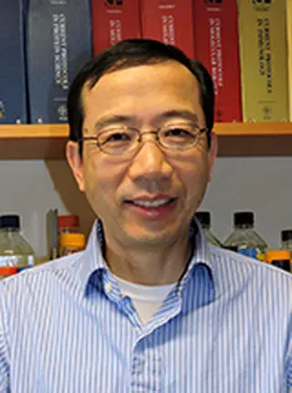 Xiaolu Yang, PhD