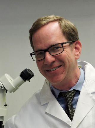 Ben Z. Stanger, MD, PhD