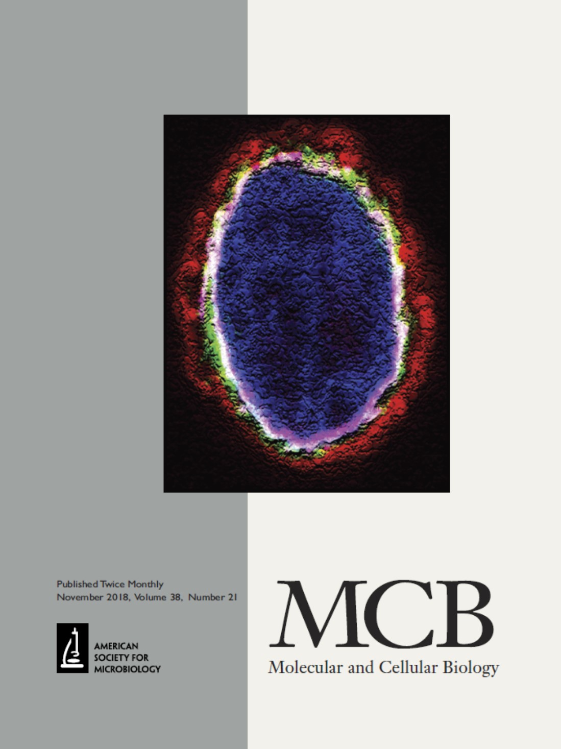 Molecular and Cell Biology Peer-reviewed Journal Cover