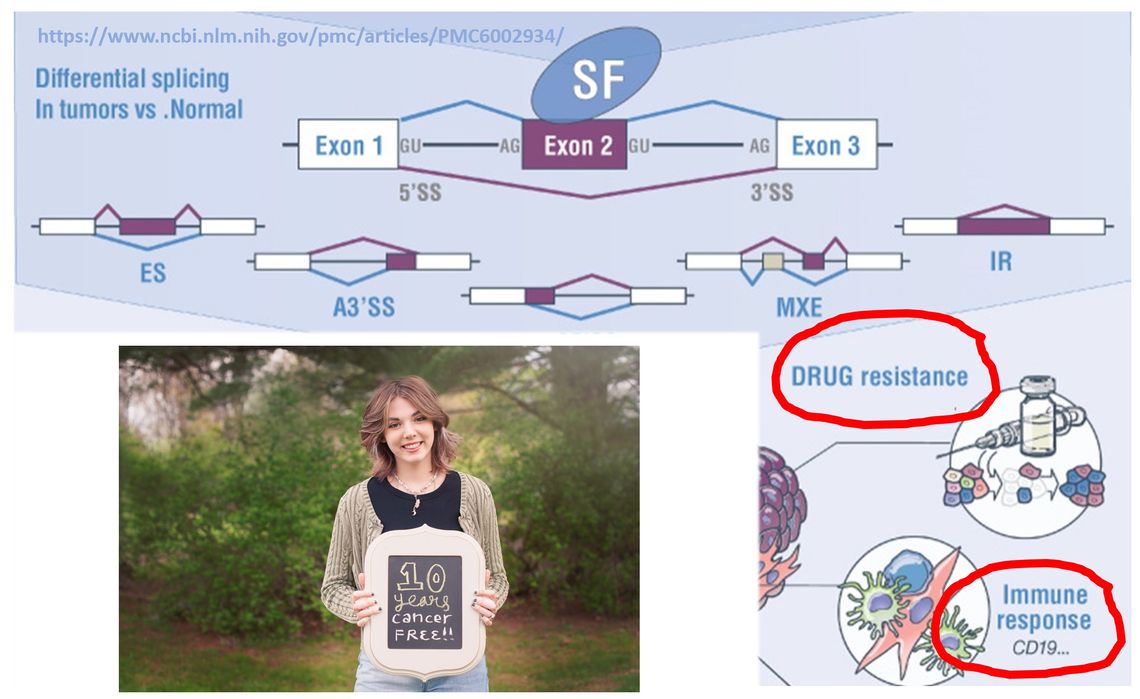 Aberrant splicing in cancer