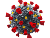 image of a coronavirus, gray with red spikes on surface