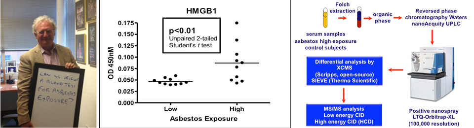 We are developing a blood test for asbestos exposure.