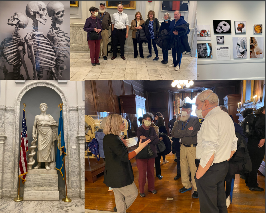 Tour of the Mutter Museum