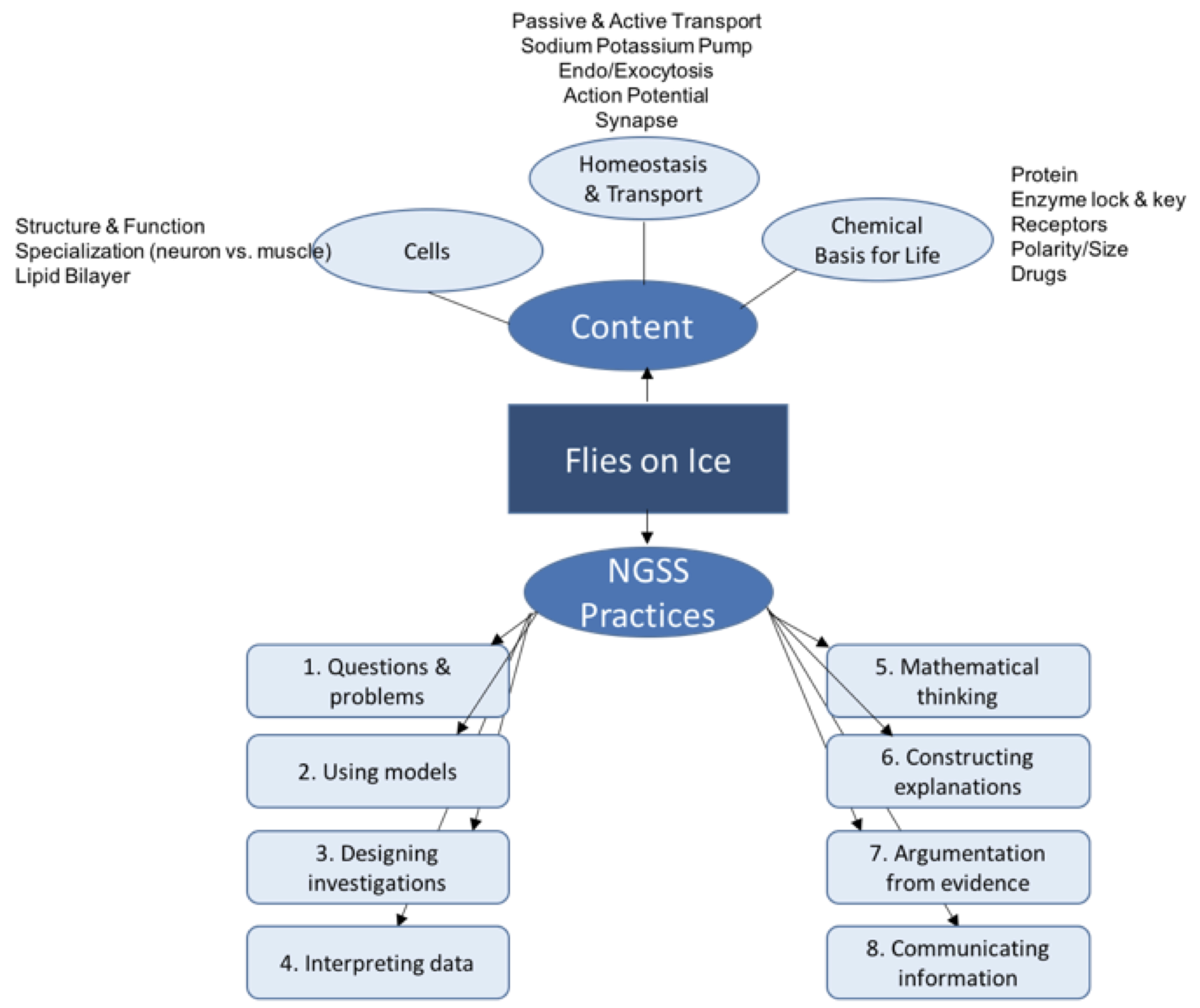 Connections to the curriculum