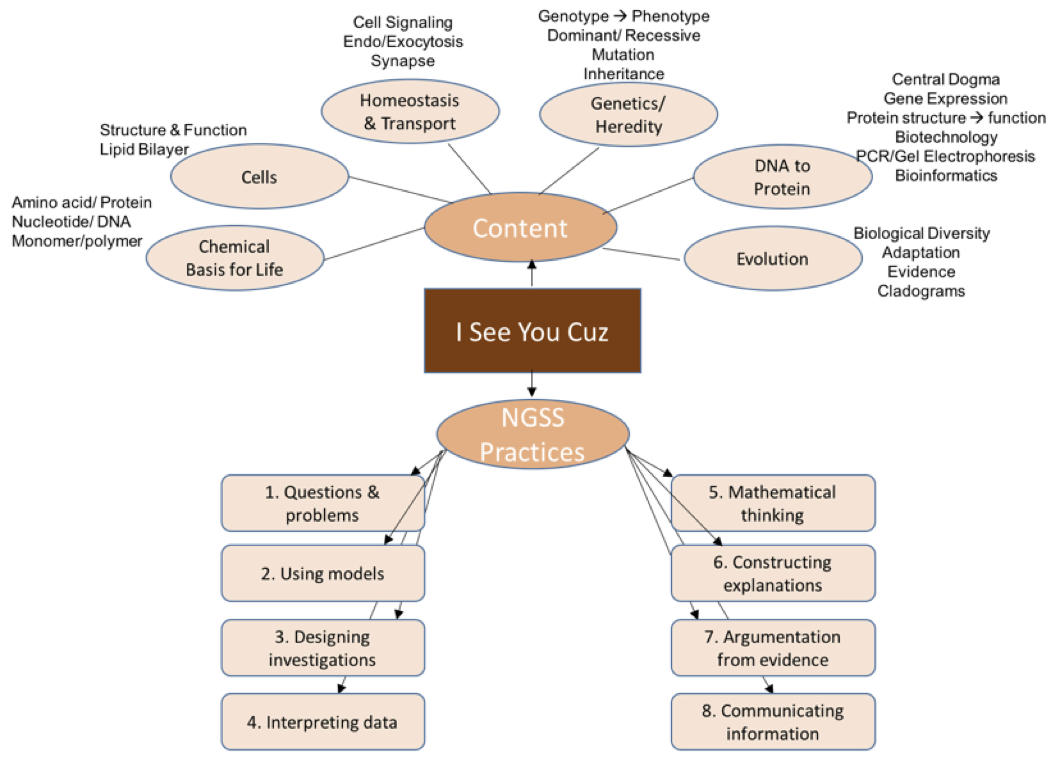 Curriculum Connections