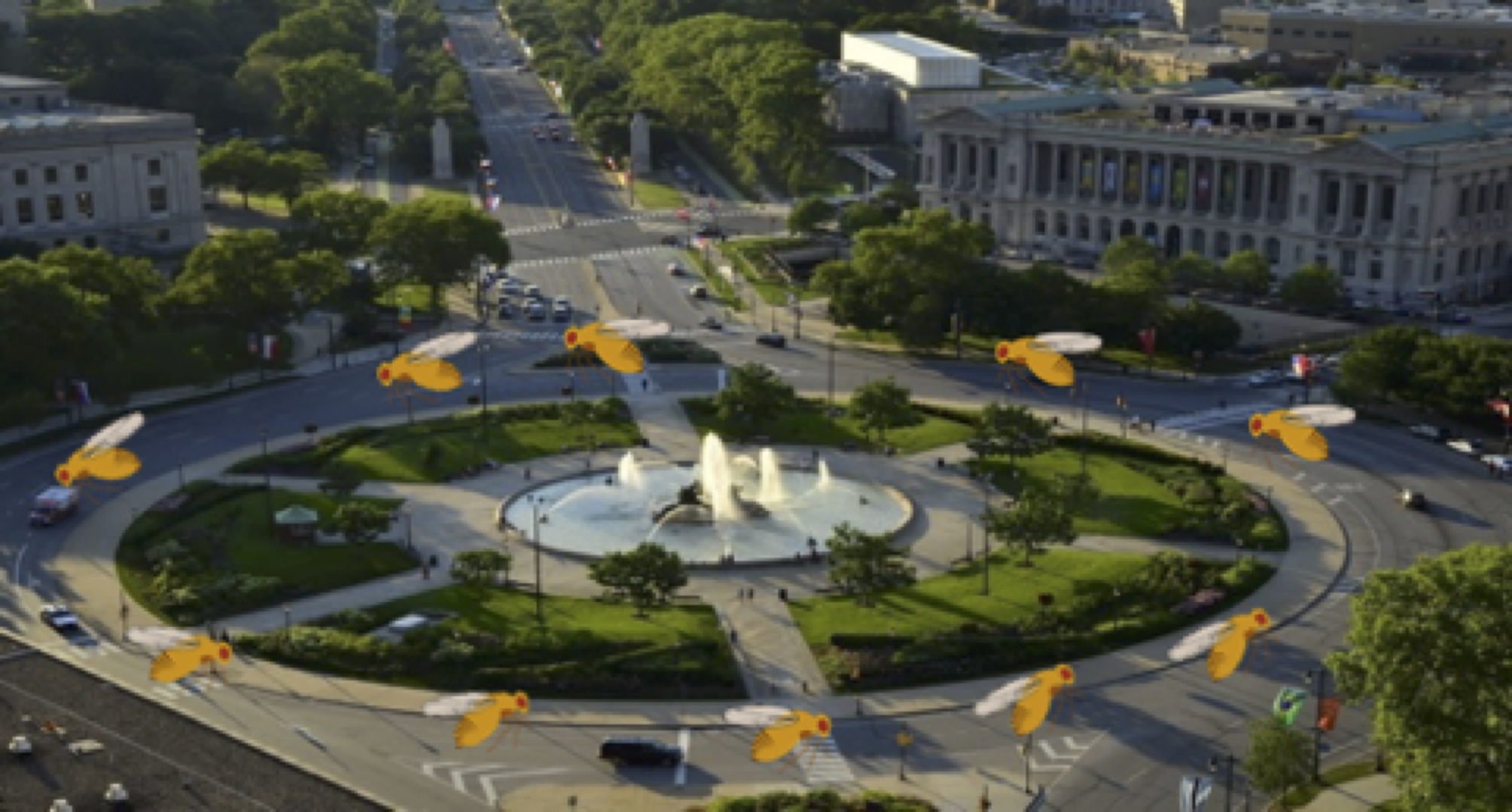 Flies around Logan Circle