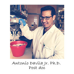 Antonio Davila, PhD