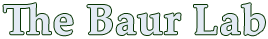 The Baur Lab Logo