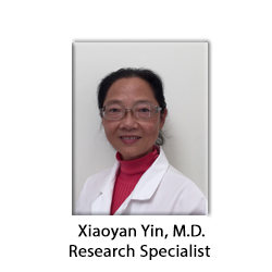 Xiaoyan Yin, Research Specialist