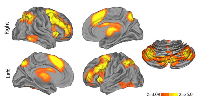 Satterthwaite Journal of Neuroscience PNC