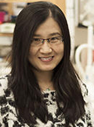 JaiBei Lin, PhD