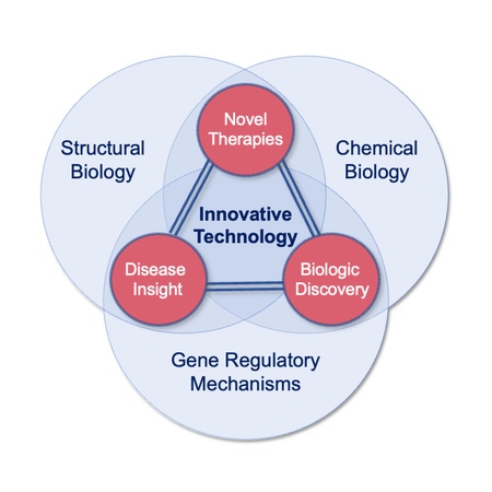 department research focuses displayed through a schematic 