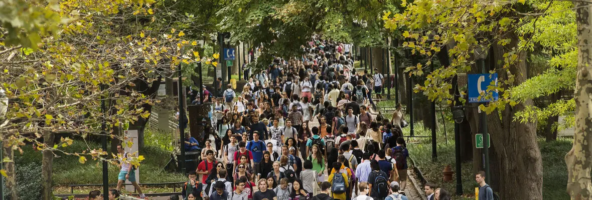 Locust Walk on UPenn campus