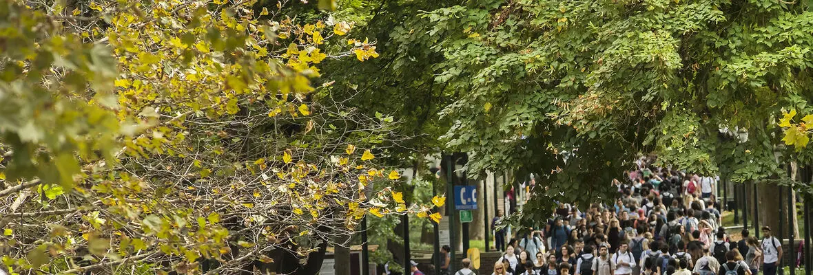 Locust Walk on UPenn Campus