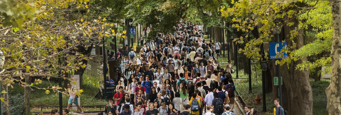Locust Walk on UPenn campus
