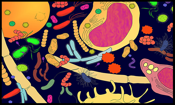 microbiome cartoon image