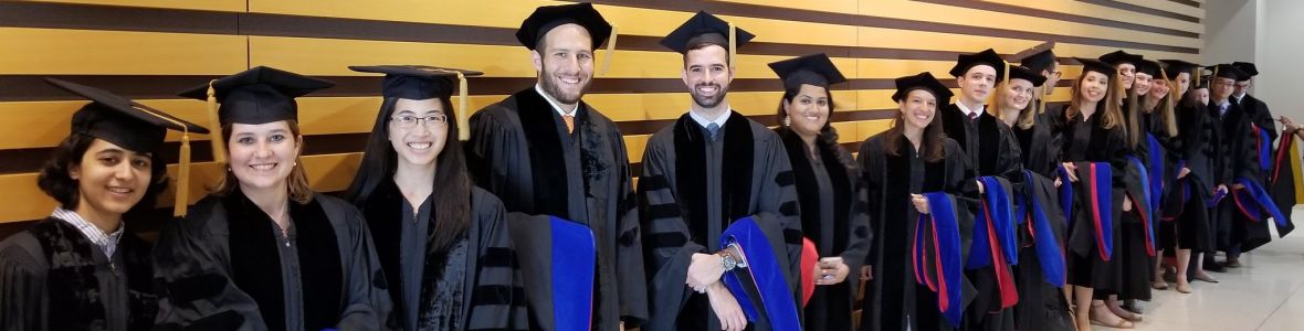 banner image