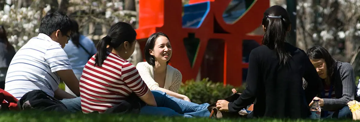 people sitting on lawn