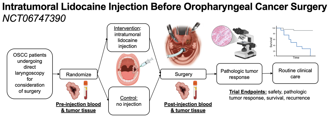Intratumoral Lidocaine Injection Before Oropharyngeal Cancer Surgery Trial Schema