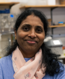 Latha Vasireddy, PhD