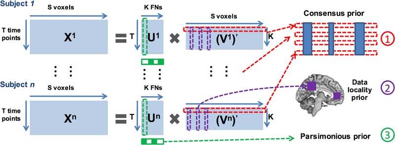 spatial scales