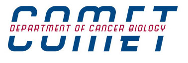 COMET logo