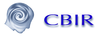 CBIR Logo