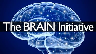 The BRAIN Initiative