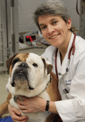 Nicola J. Mason, BVetMed, PhD